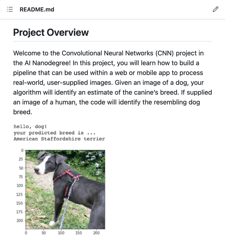 Screenshot of Dog Breed Classifier GitHub Repo