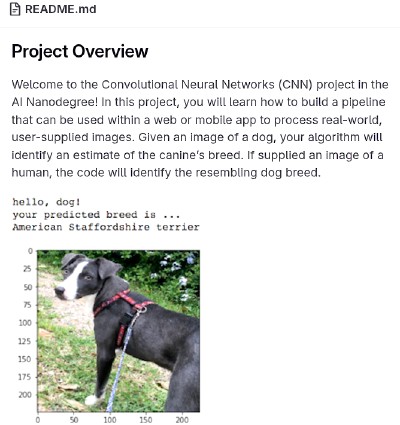 Screenshot of Dog Breed Classifier project on Gitlab